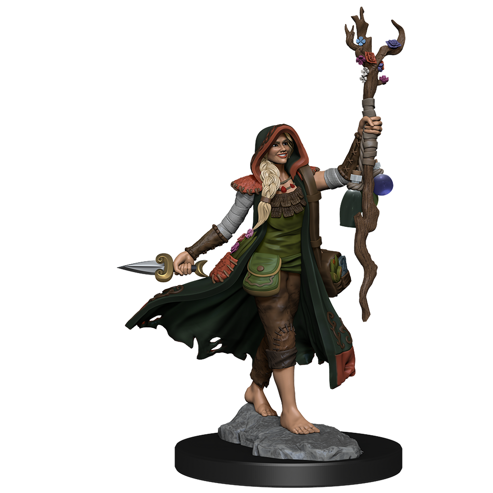 D&D Frameworks: Human Druid Female