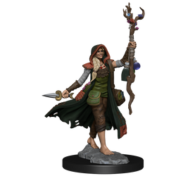 D&D Frameworks: Human Druid Female