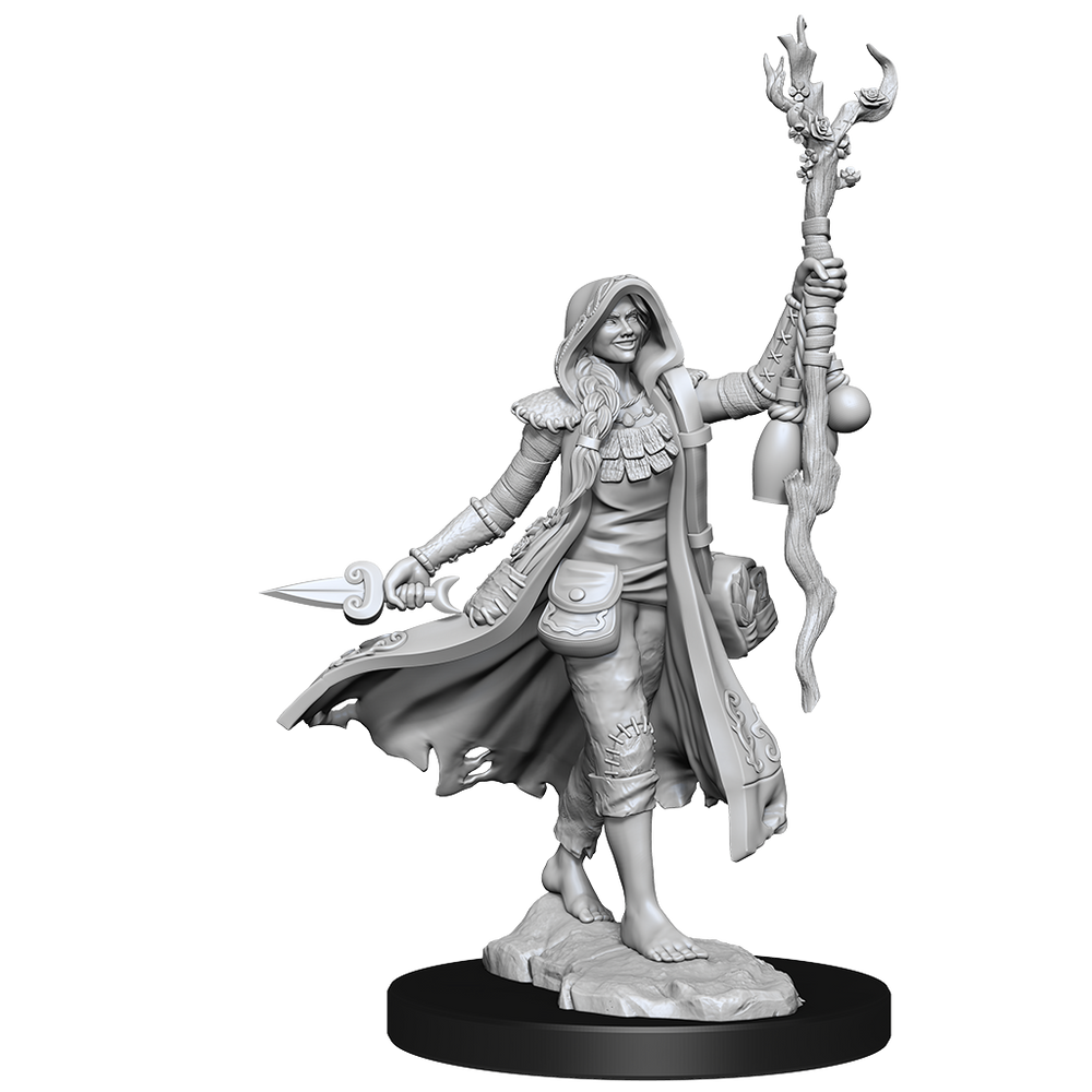D&D Frameworks: Human Druid Female