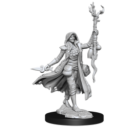 D&D Frameworks: Human Druid Female