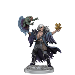 D&D Frameworks: Human Warlock Male (Wave 1)