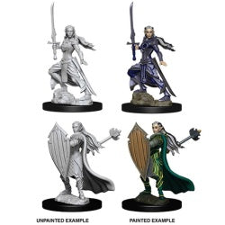 D&D Nolzur's Marvelous Miniatures: Female Elf Paladin