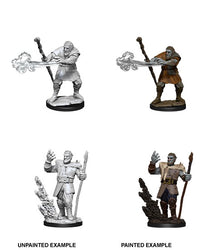 D&D Nolzur's Marvelous Miniatures Wave 11 Male Firbolg Druid